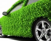 Save the Environment